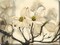 Outdoor Living and Style White and Brown Dogwood Watercolor Garden Outdoor Canvas Rectangular Wall Art Decor 30" x 40"